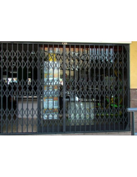 copy of PUERTA SECCIONAL RESIDENCIAL CON PUERTA DE SERVICIO