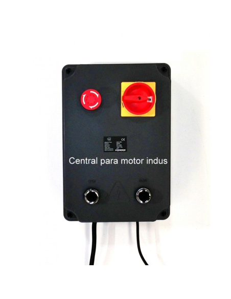 KIT MOTOR AL EJE INDUS100 (MOTOR INDUS100+CENTRAL L230)