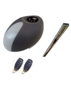 KIT MOTOR TECHO GOLD 100KG